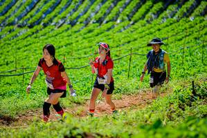 BIB: 
                            <button type="button" onclick="openModal(19163330)" class="btn btn-primary btn-sm float-right btn-popup" data-toggle="modal" data-target=".modal-high-quality">
                        <i class="fas fa-shopping-cart"></i> Add to Cart
                    </button>
                                            <button type="button" onclick="isThisMe(19163330, true)" class="btn btn-success btn-sm float-right btn-popup btn-isme hidden" data-toggle="tooltip" data-placement="bottom" title="นี่คือรูปของคุณใช่ไหม คลิกที่นี่เพื่อเอาเข้าอัลบั้ม">
                        <i class="fas fa-plus"></i> Add to album
                    </button>
                    <button type="button" onclick="isThisMe(19163330, false)" class="btn btn-warning btn-sm float-right btn-popup btn-isnotme hidden">
                        <i class="fas fa-ban"></i> Remove from album
                    </button>